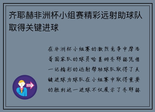 齐耶赫非洲杯小组赛精彩远射助球队取得关键进球